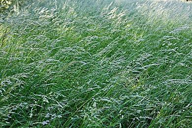 SIE重申主机业务仍是核心 但登陆PC能拓展用户群体